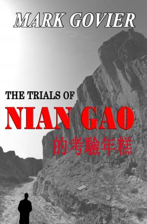 Cover of the book The Trials of Nian Gao by Milou Koenings