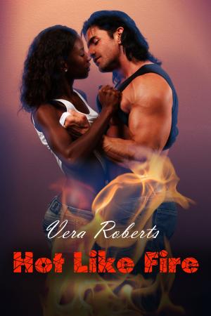 Cover of the book Hot Like Fire by Elle Rush