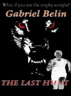 Cover of the book The Last Hunt by Roger Schultz