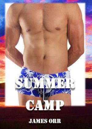 bigCover of the book Summer Camp by 
