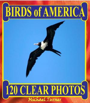 Book cover of Birds of America. 120 Clear Photos.