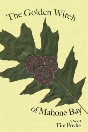 bigCover of the book The Golden Witch of Mahone Bay by 