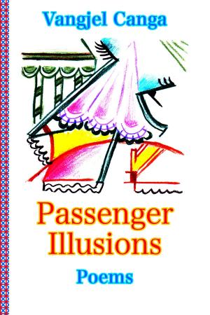 Book cover of Passenger Illusions
