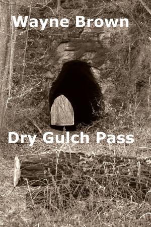Cover of the book Dry Gulch Pass by Derek Hibbert