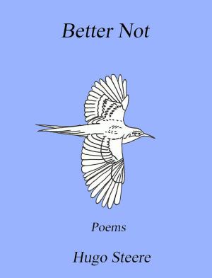 Cover of the book Better Not by Darren Hobson