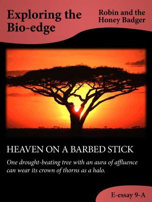 Cover of Heaven On A Barbed Stick