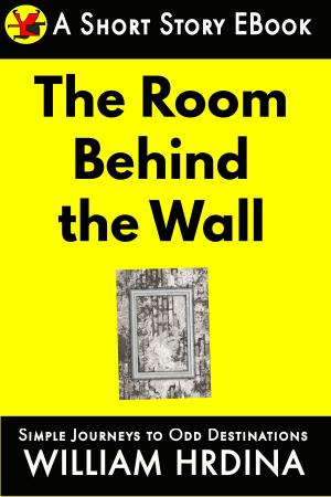Book cover of The Room Behind the Wall