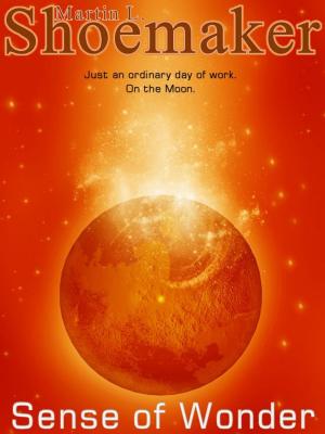 Cover of the book Sense of Wonder by Christopher Golden, John Howe