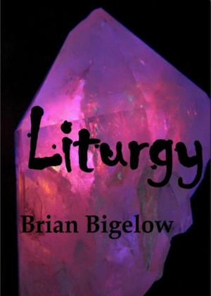 Book cover of Liturgy