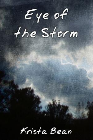 Cover of the book Eye of the Storm by Jerry Bader