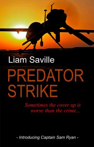 bigCover of the book Predator Strike by 