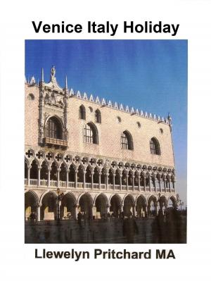 Book cover of Venice Italy Holiday