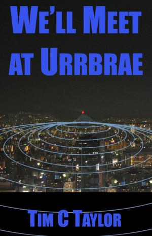 Book cover of We'll Meet at Urrbrae