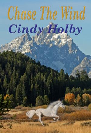 Cover of the book Chase The Wind by Cindy Holby