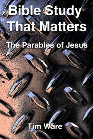 Cover of the book The Parables of Jesus by Scott Hoezee