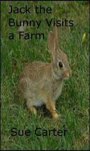 Cover of the book Jack the Bunny Visits a Farm by Todd TRain Brandt, Scott Fagan