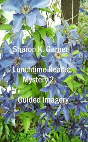 Cover of the book Lunchtime Reads: Mystery 2, Guided Imagery by Michael Robertson