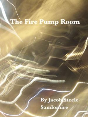 Book cover of The Fire Pump Room