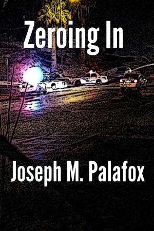 Book cover of Zeroing In