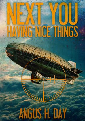 Book cover of Having Nice Things