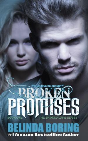 Cover of the book Broken Promises by S.K. Falls