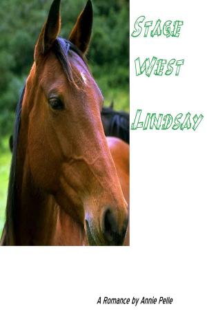 Cover of the book Stage West: Lindsay by Noizchild Johnson