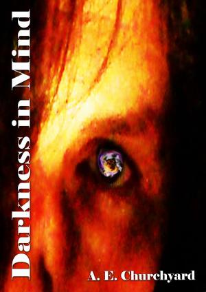 Cover of the book Darkness in Mind by Bruce Kilby