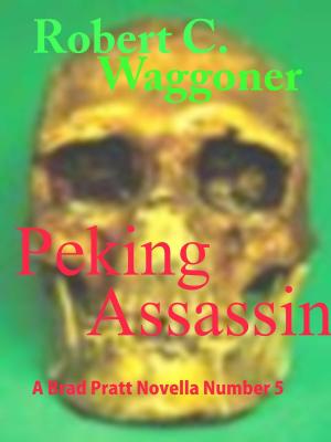 Book cover of Peking Assassin