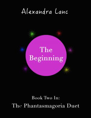 Cover of the book The Beginning (Phantasmagoria Duet #2) by Sharon Hamilton
