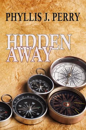Cover of the book HIDDEN AWAY ...The Craze of Geocaching! by Allen Tiller