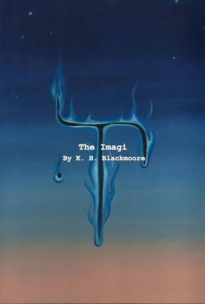Cover of The Imagi