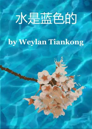 Cover of 水是蓝色的