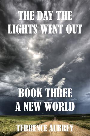 Book cover of A New World Book 3. The Day the Lights went Out