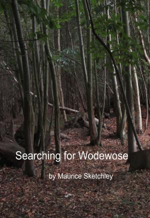 Cover of Searching for Wodewose