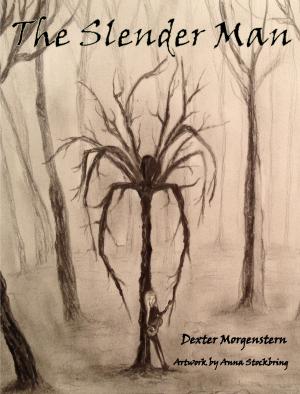 Cover of the book The Slender Man by Ben Waterford