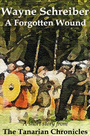 Book cover of A Forgotten Wound