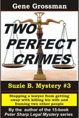 Cover of the book Two Perfect Crimes: Suzi B. Mystery #3 by M.G. Herron