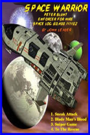 Cover of the book Space Warrior AD 60,400.111102 by Colten Steele