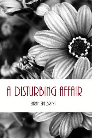 Cover of the book A Disturbing Affair by Rebecka Vigus