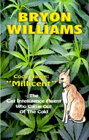 Book cover of Code Name Millicent.