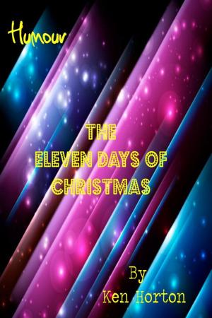 Cover of the book The Eleven Days of Christmas by Siobhan Minty