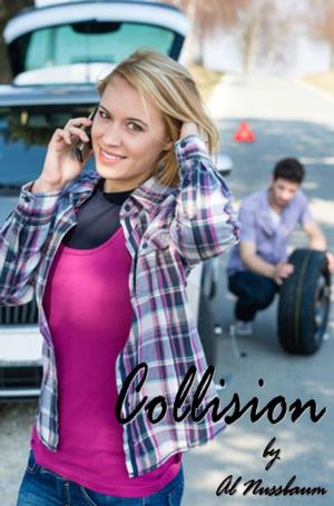 Cover of the book Collision by R.L. Herron