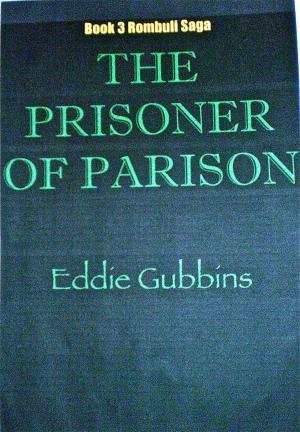Cover of the book The Prisoner Of Parison by B H Knudson