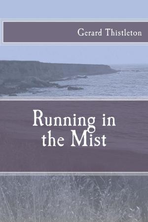 Cover of the book Running in the Mist by MM Rumberg