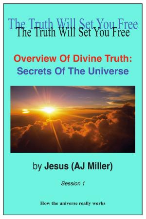 Cover of the book Overview of Divine Truth: Secrets of the Universe Session 1 by Jesus (AJ Miller), Mary Magdalene (Mary Luck)