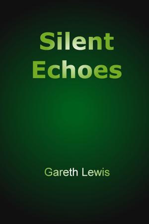 bigCover of the book Silent Echoes by 