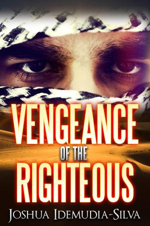 Book cover of The Vengeance of the Righteous
