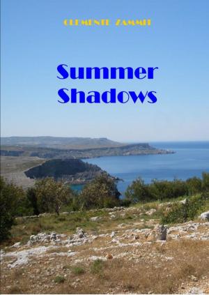bigCover of the book Summer Shadows by 