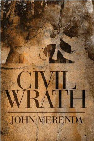 Cover of the book Civil Wrath by Norman Bodek