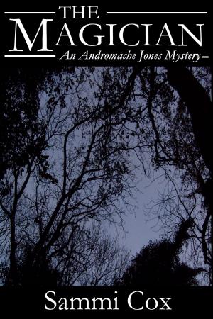 Book cover of The Magician: An Andromache Jones Mystery